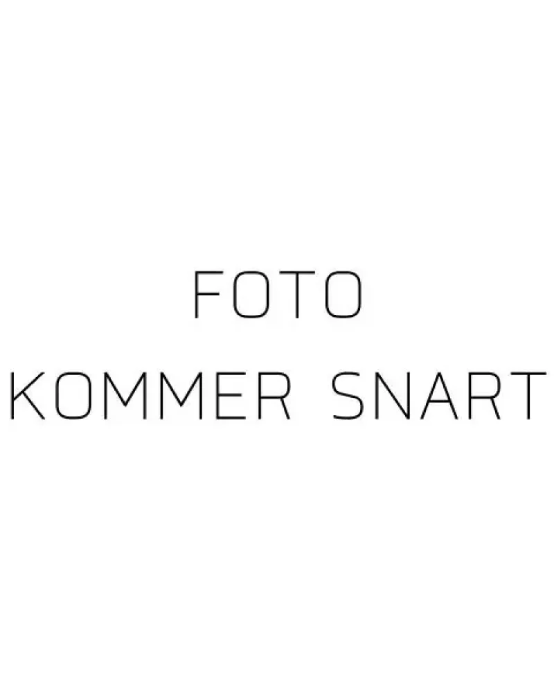 FOTO-KOMMER-SNART-5